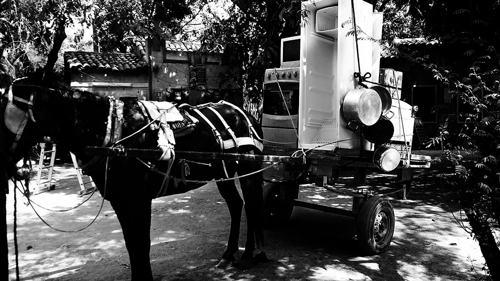 fotografia preto e branco 04