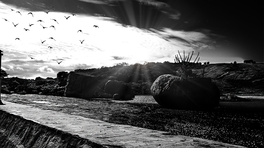 fotografia preto e branco 06