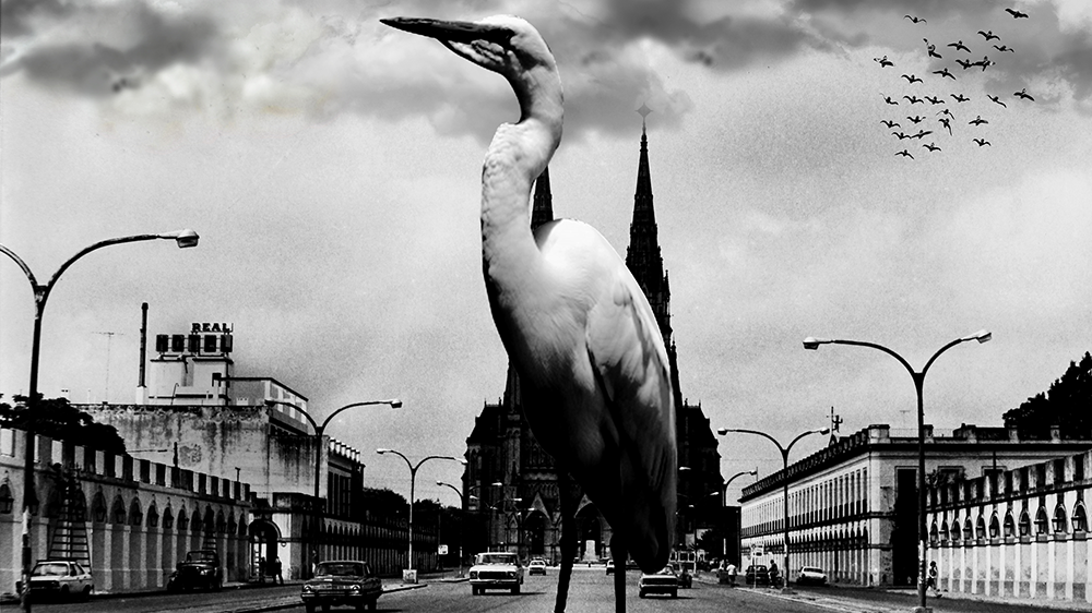 fotografia preto e branco 08