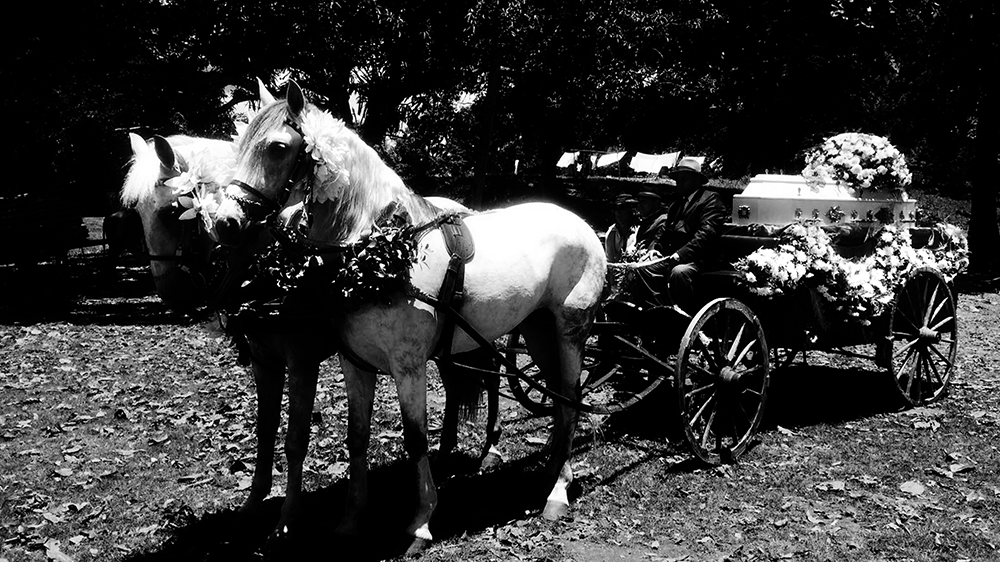 fotografia preto e branco 11