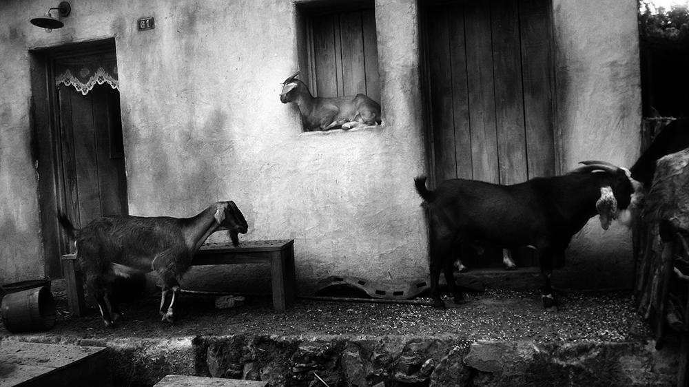 fotografia preto e branco 12