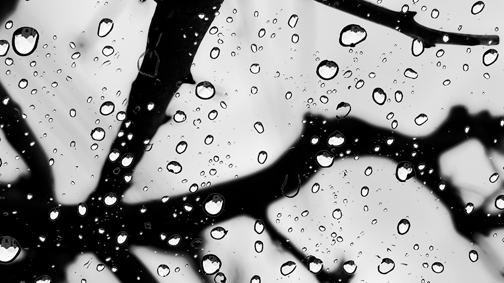 fotografia preto e branco 25