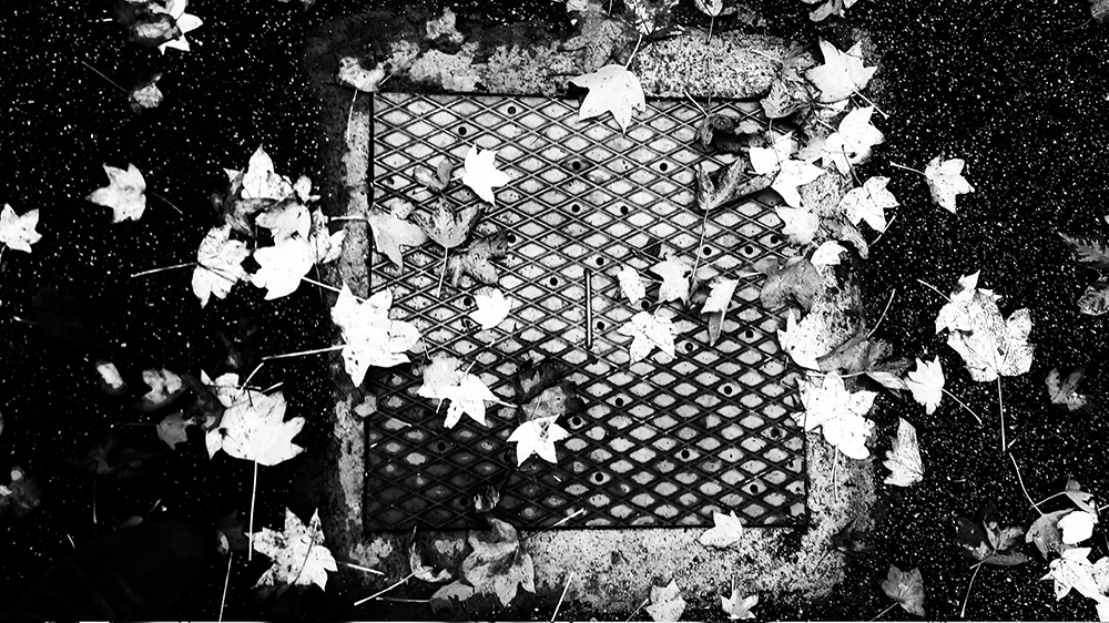 fotografia preto e branco 26